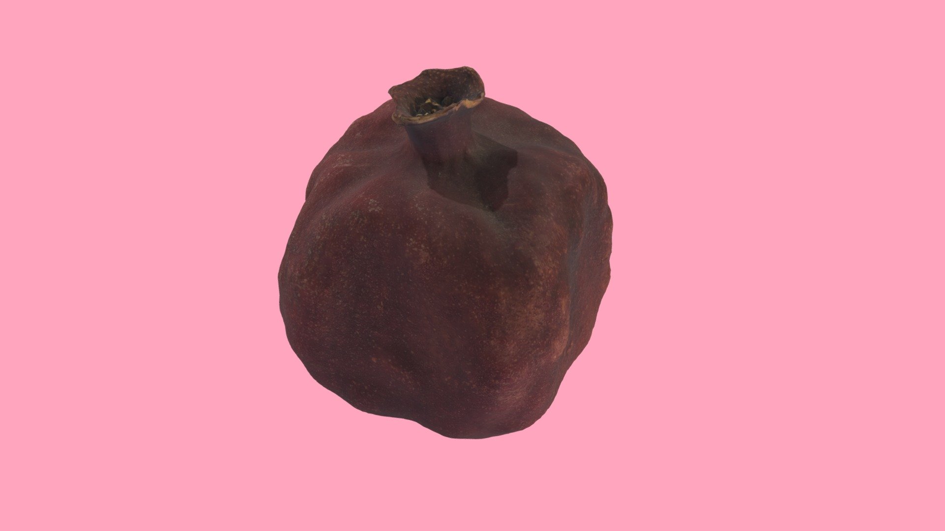 Granada Modelo v5