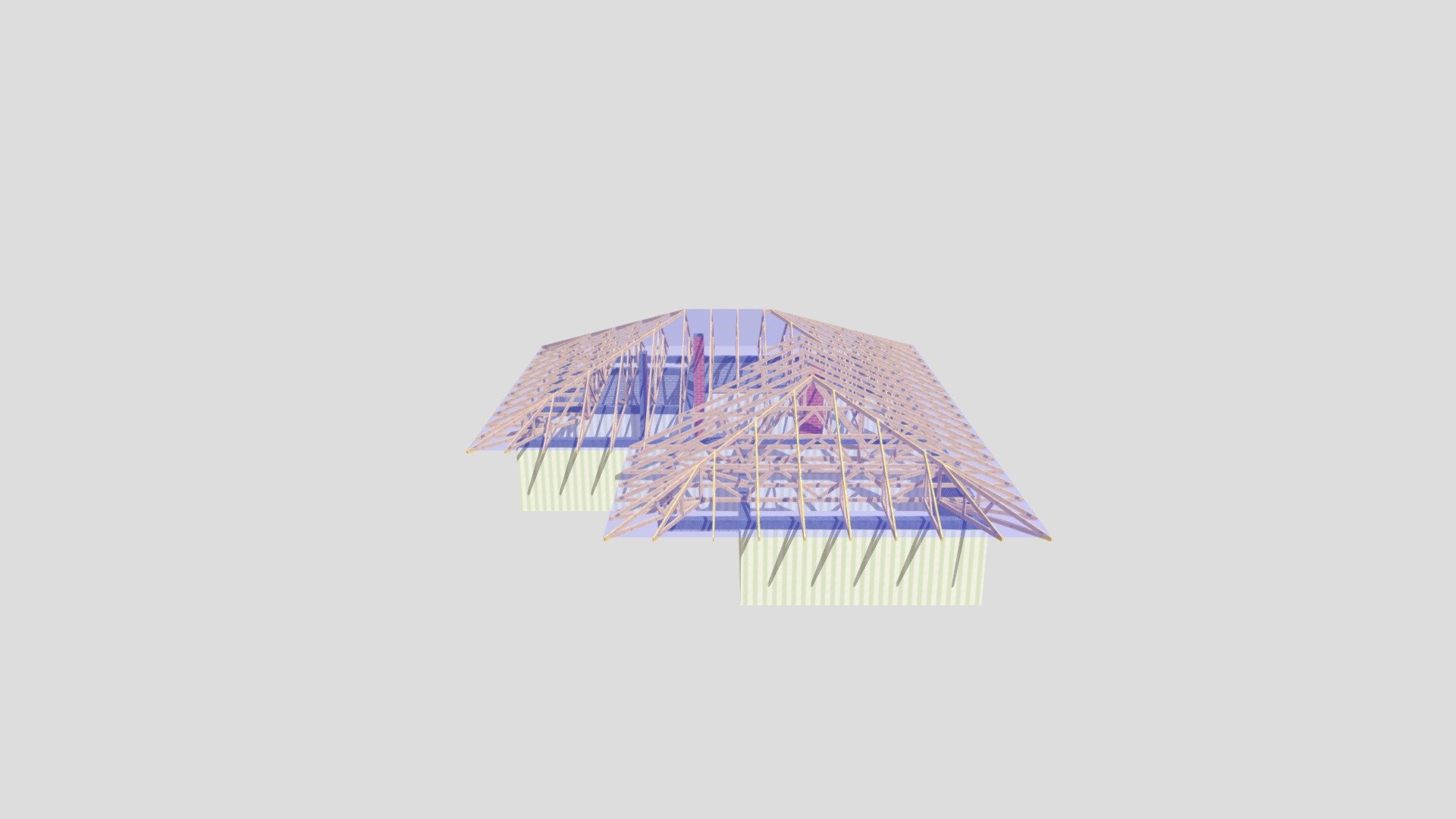 Kiwi_3