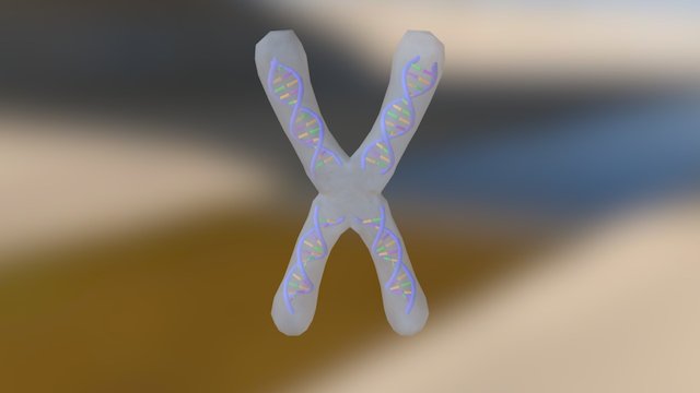 forksecondthird 3D Model