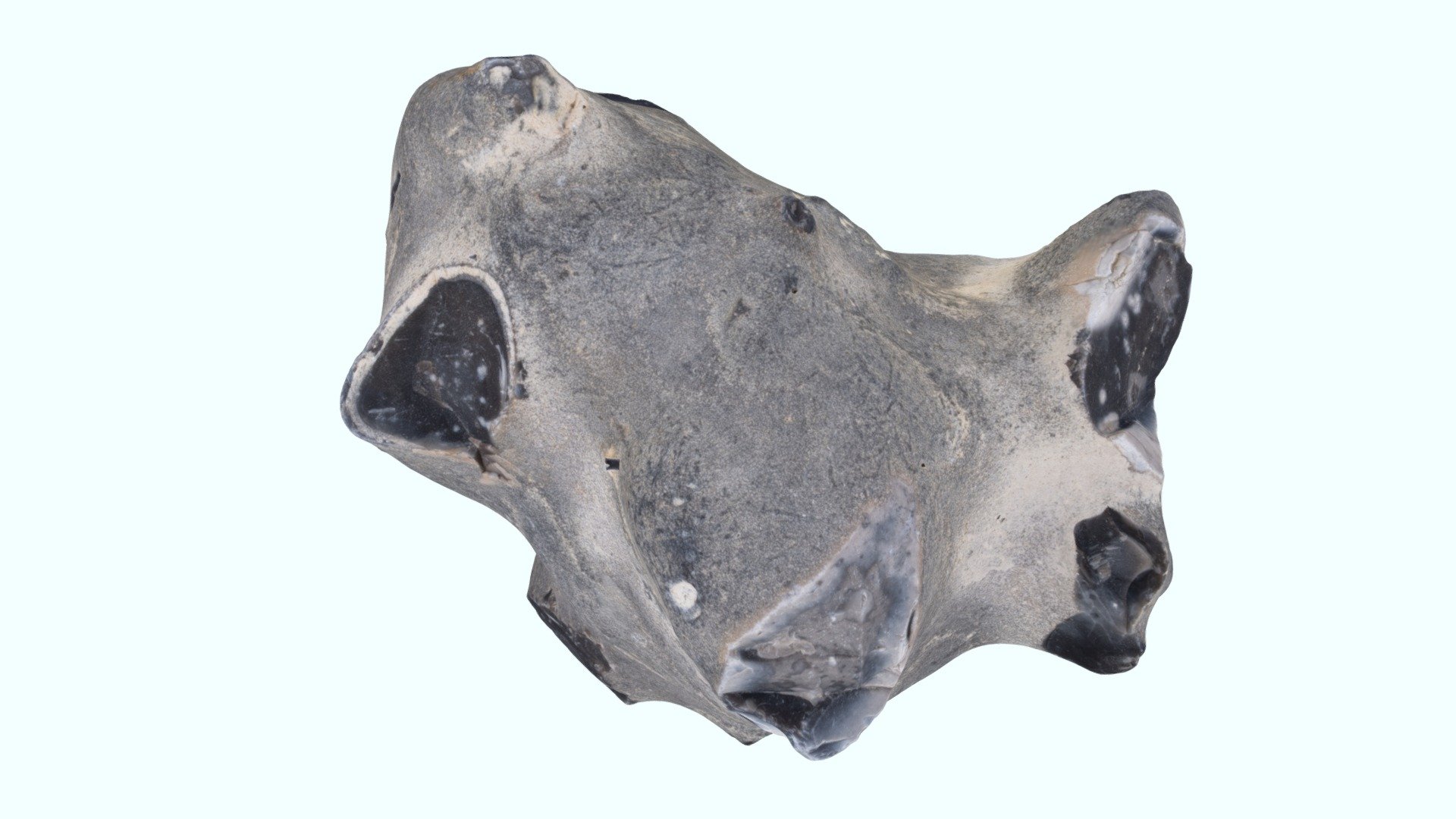 Silex 3D model by Ecole Nationale Supérieure de Géologie