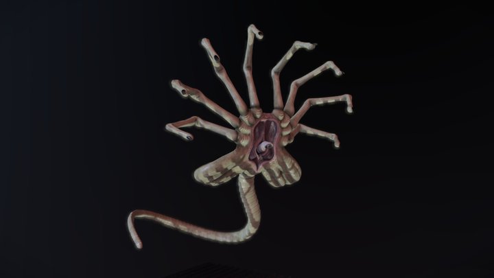 Face Hugger 3D Model