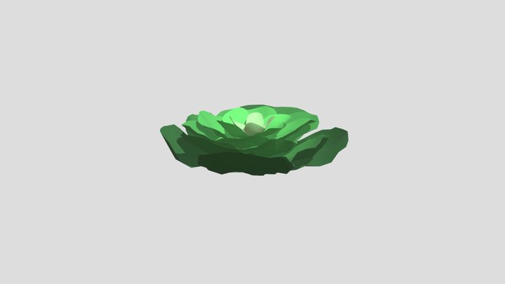 Lettuce 3D Model