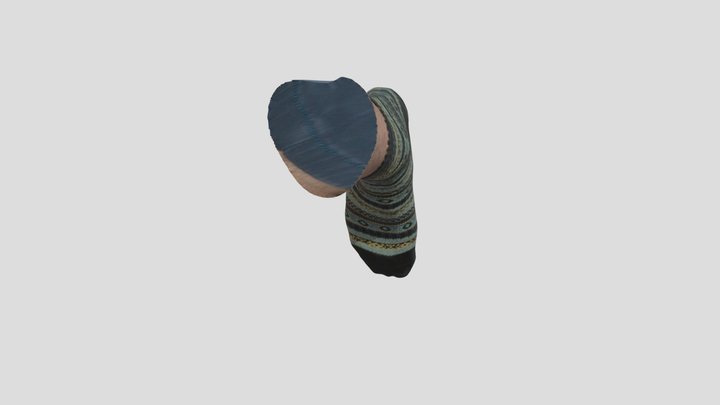 Jeffs Foot Leo Scan 3D Model