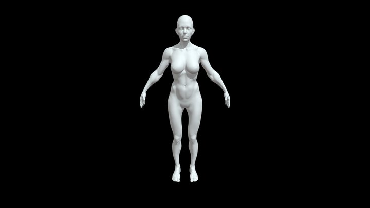 Body -  5 3D Model