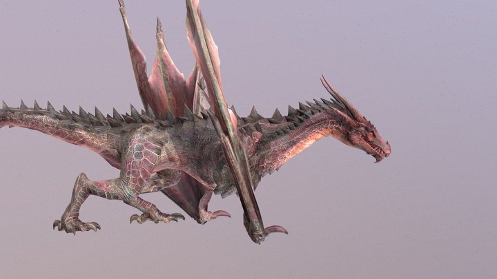 Wyvern Dragon Animated 3D Model