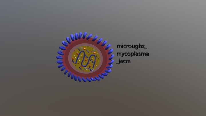 Mycoplasma(1) 3D Model