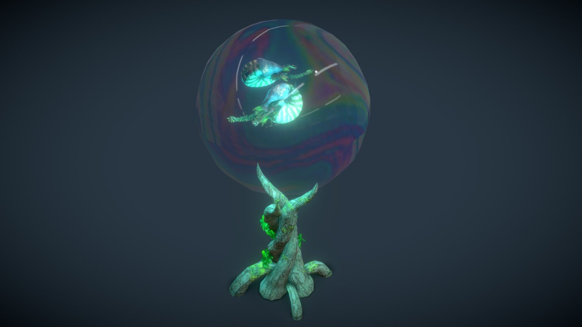 Vegetal nautilus