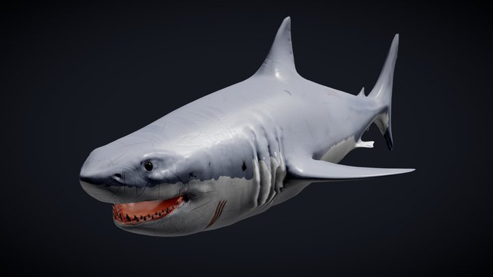 Great White Shark – Gratis 3D-model STL