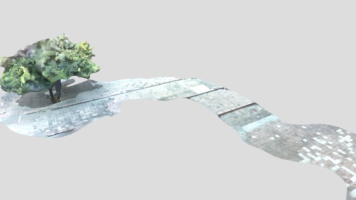 Lidar árbol 3D Model
