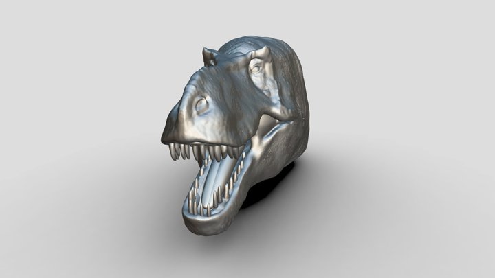T rex head 3D Model