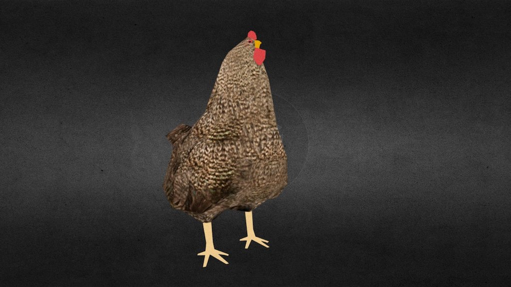 Brown Chicken Textured - Download Free 3D Model By Maf'j Alvarez ...