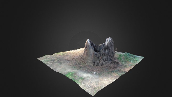 Photoscan tree 3D Model
