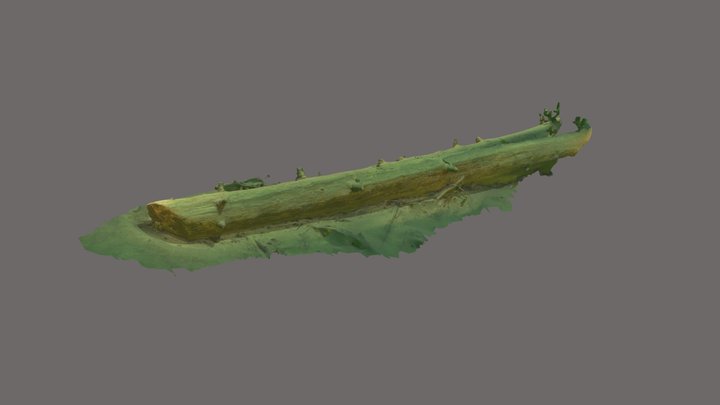 3rd Tree from mountain lake Tatra National Park 3D Model