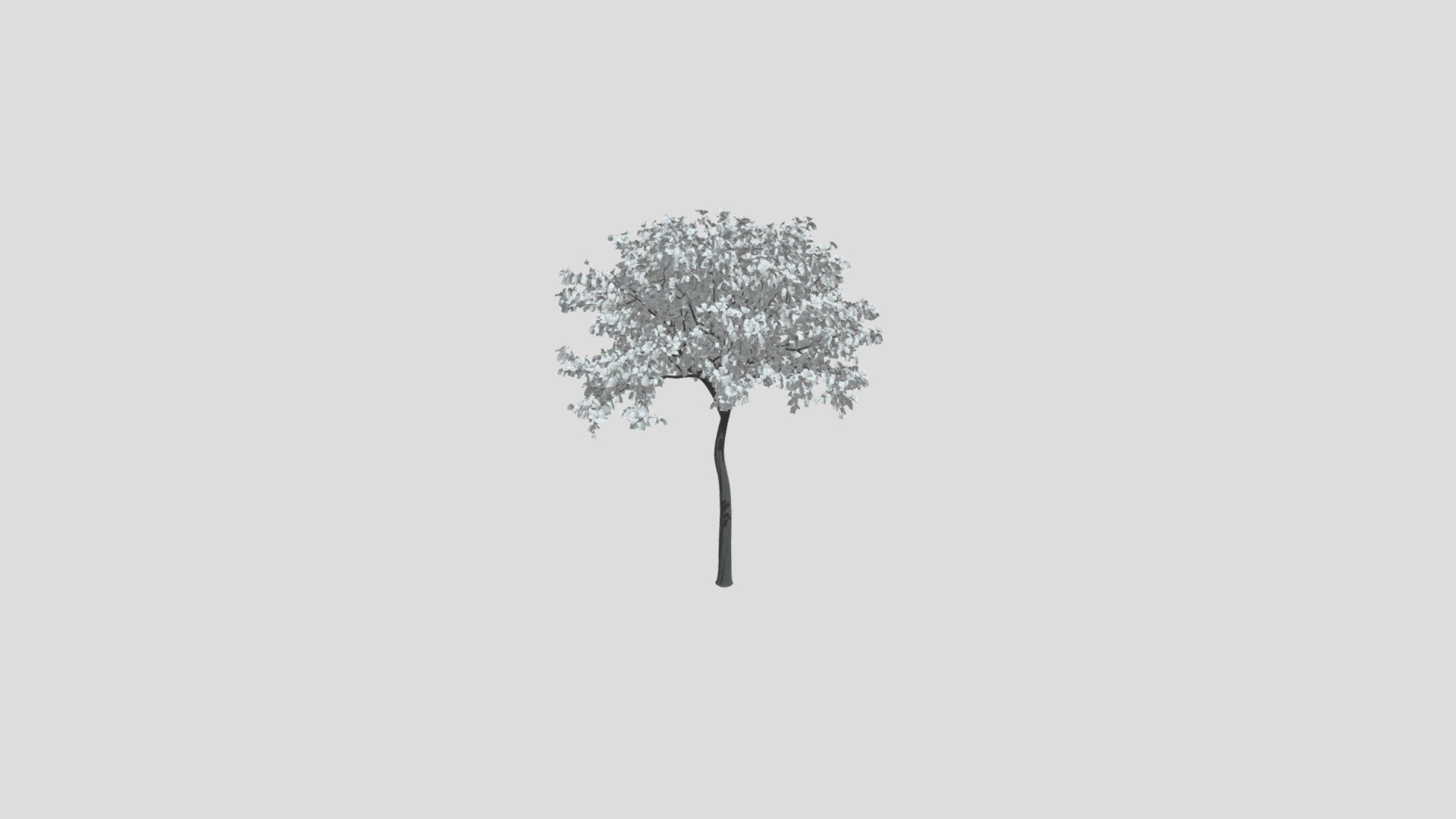 Bauhinia tree 24 AM210 Archmodel - Buy Royalty Free 3D model by ...