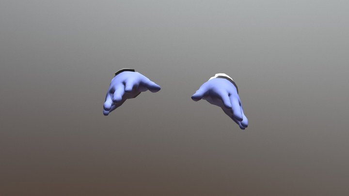 (NEW) Hands 3D Model