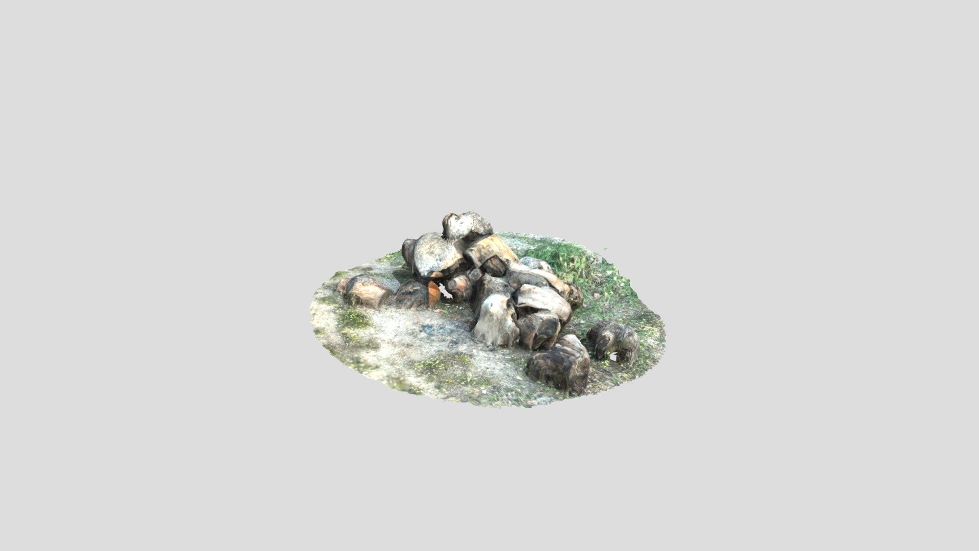 Scanned Logs