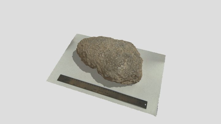 Scan Test 1 3D Model