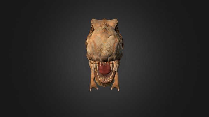 Tyrannosaurus 3D Model