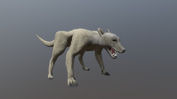 Wolfcreature Low 3D Model