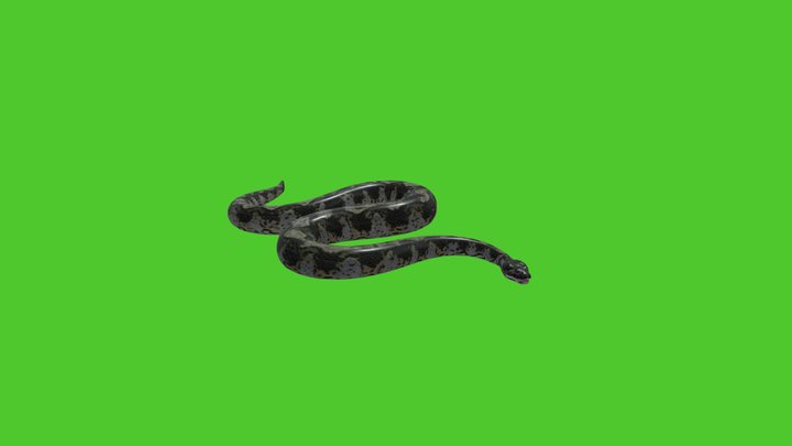 snake_titanoboa_by_dino_raul 3D Model