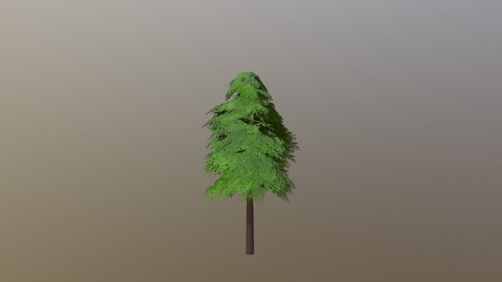 Fur Tree 3D Model