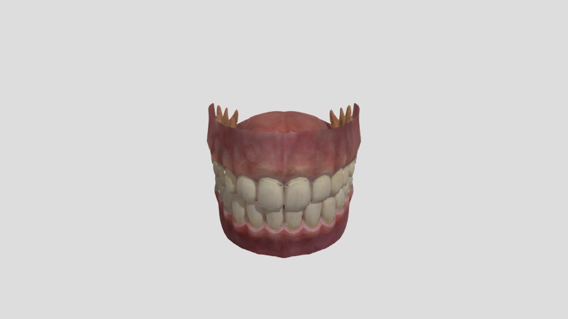 TeethTest - 3D model by tony08cn [f1e1fc7] - Sketchfab