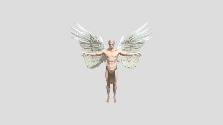 Angel 3D Model