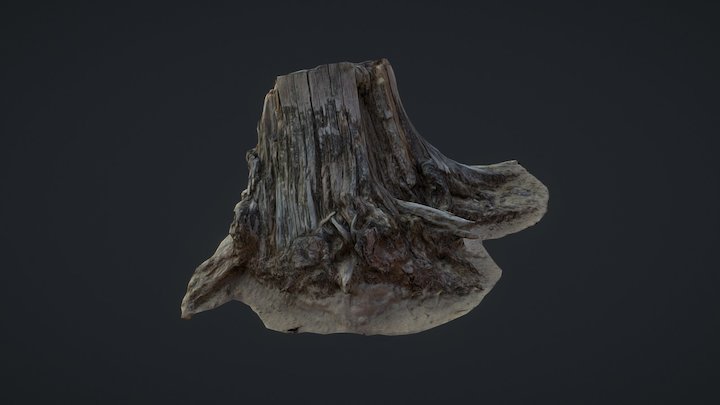 Treestump 3D Model