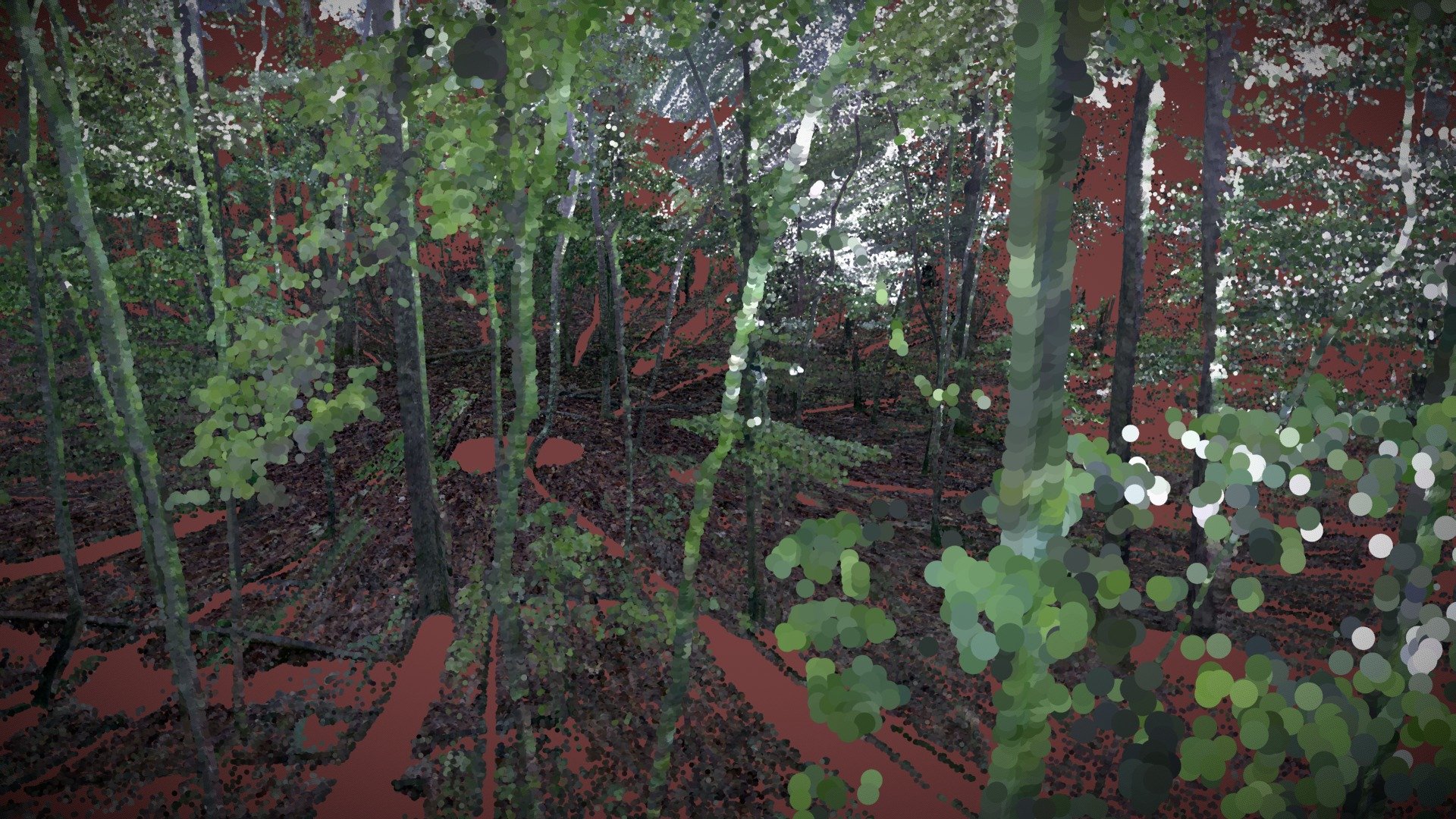 APSF00060621_cropped