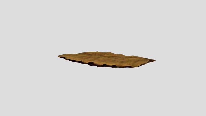 Leaf 3D Model