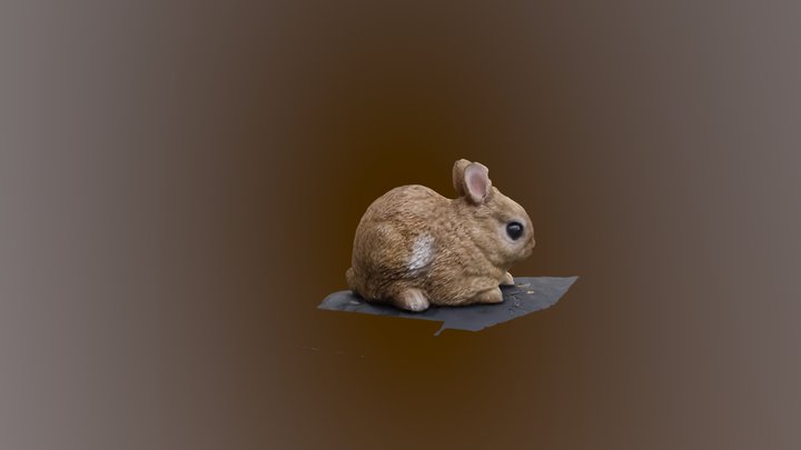 Rabbit 3D Model