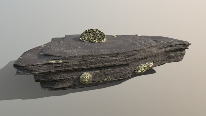 Pyrite In Shale 3D Model