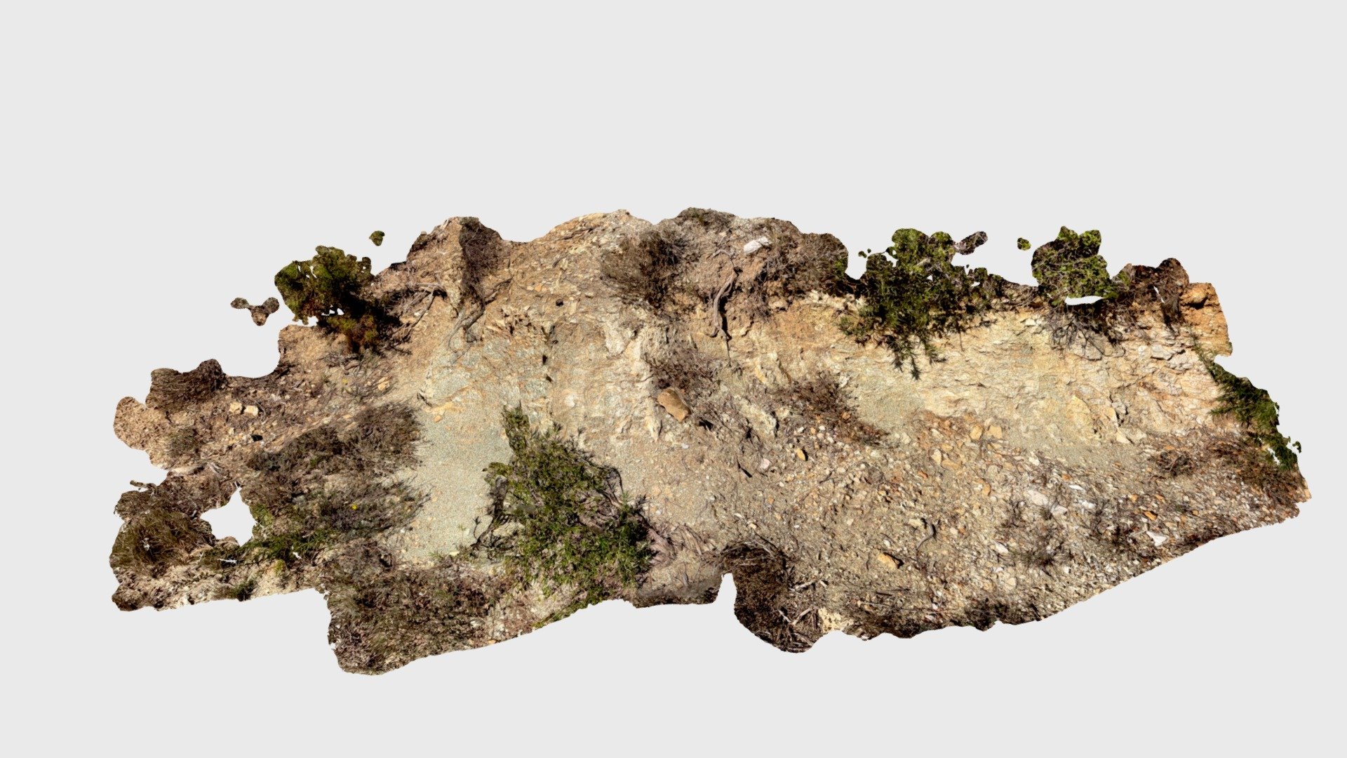 Affleurement à La Vineuse sur le bord de la D77
