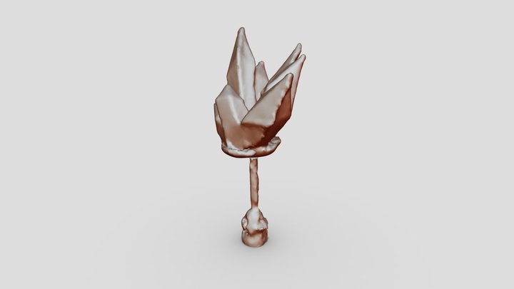 ian 3D Model