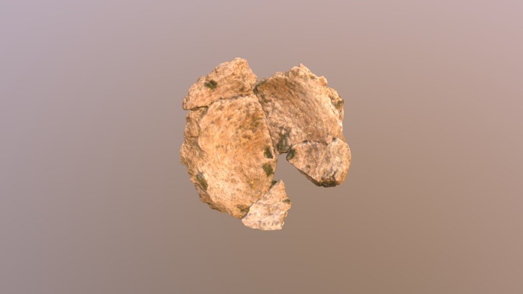 Mastodon Vertebra (VCU_3D_2864)