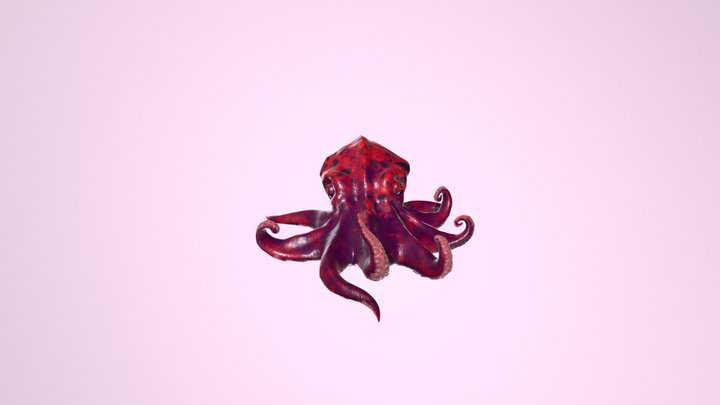 Octopus 3D Model