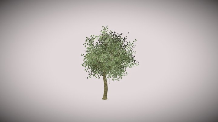 Low poly green tree 3D Model