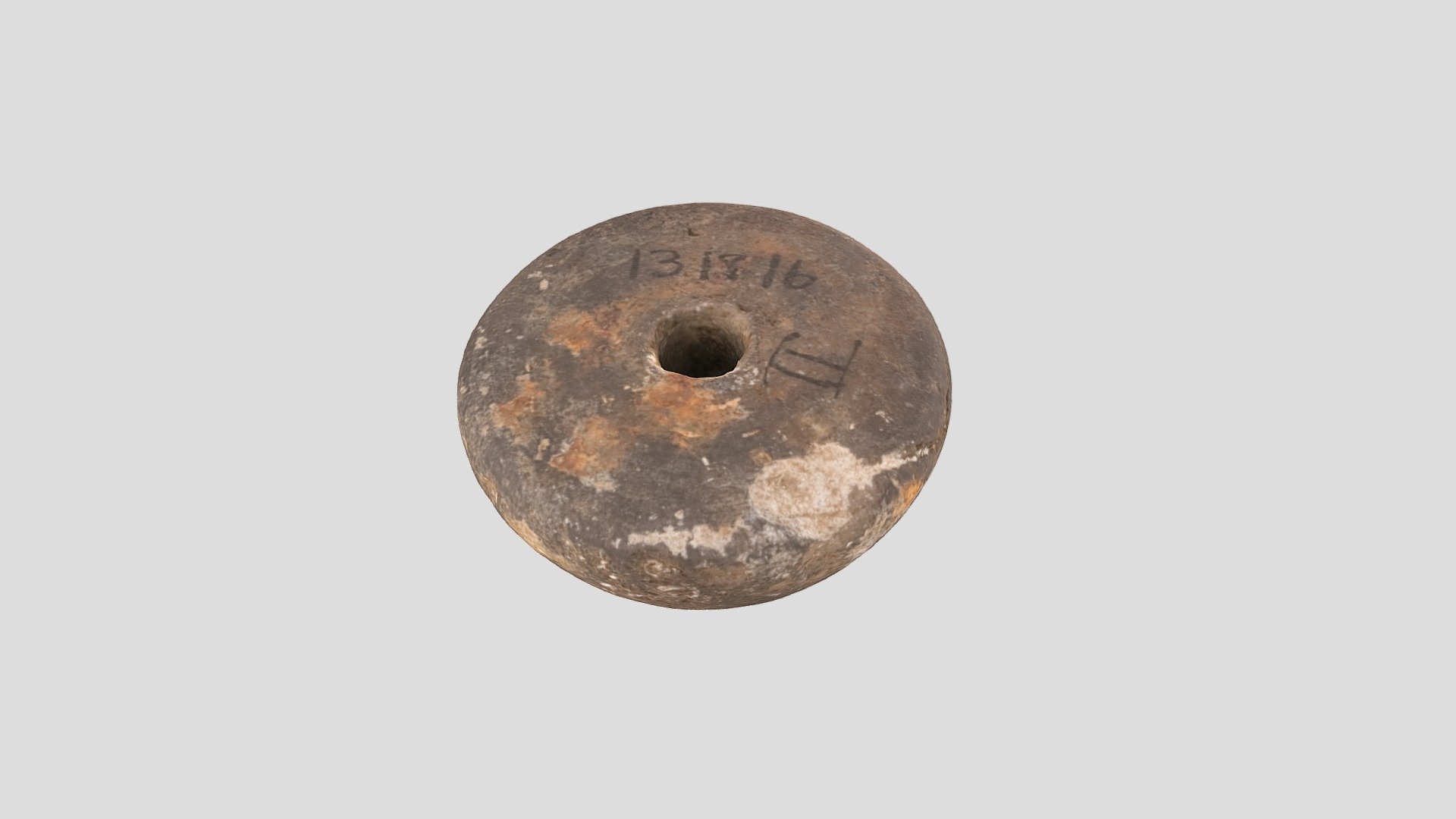 YPM ANT.131816