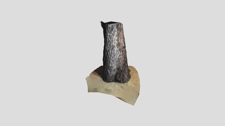 tree 3D Model