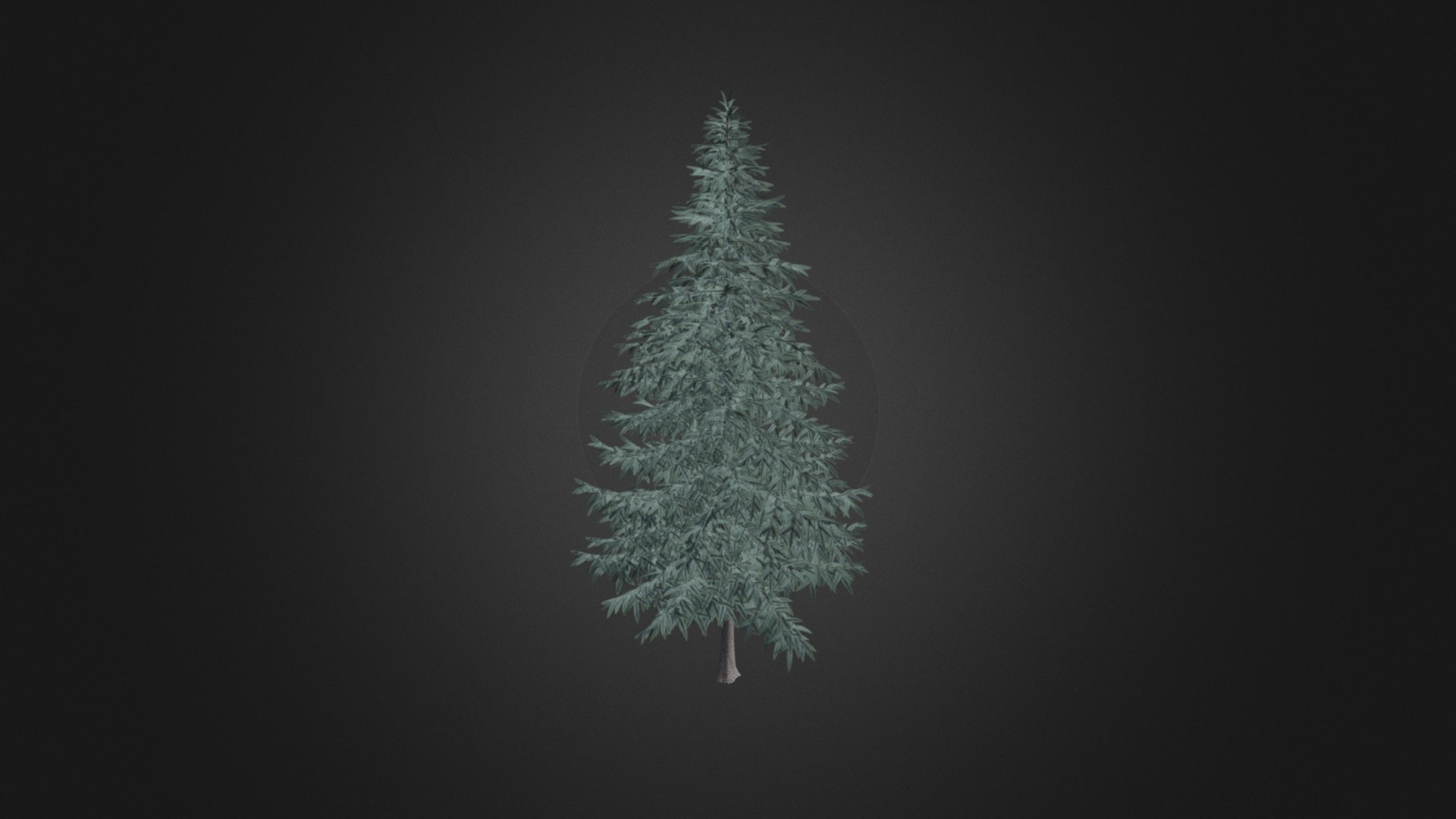 3D model Spruce Tree 3D Model 7.8m - This is a 3D model of the Spruce Tree 3D Model 7.8m. The 3D model is about a tree with a white background.