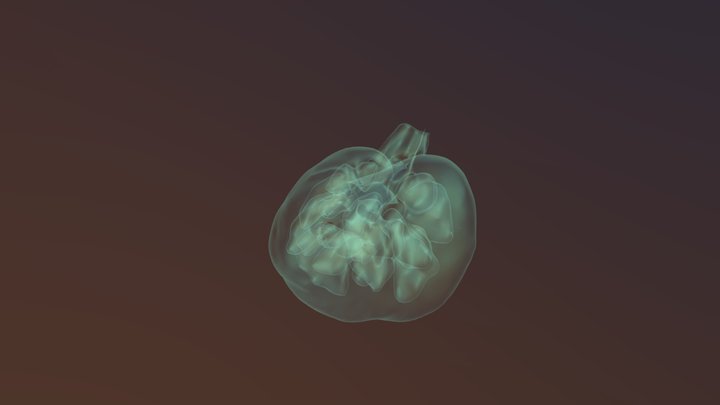 Left Kidney 3D Model