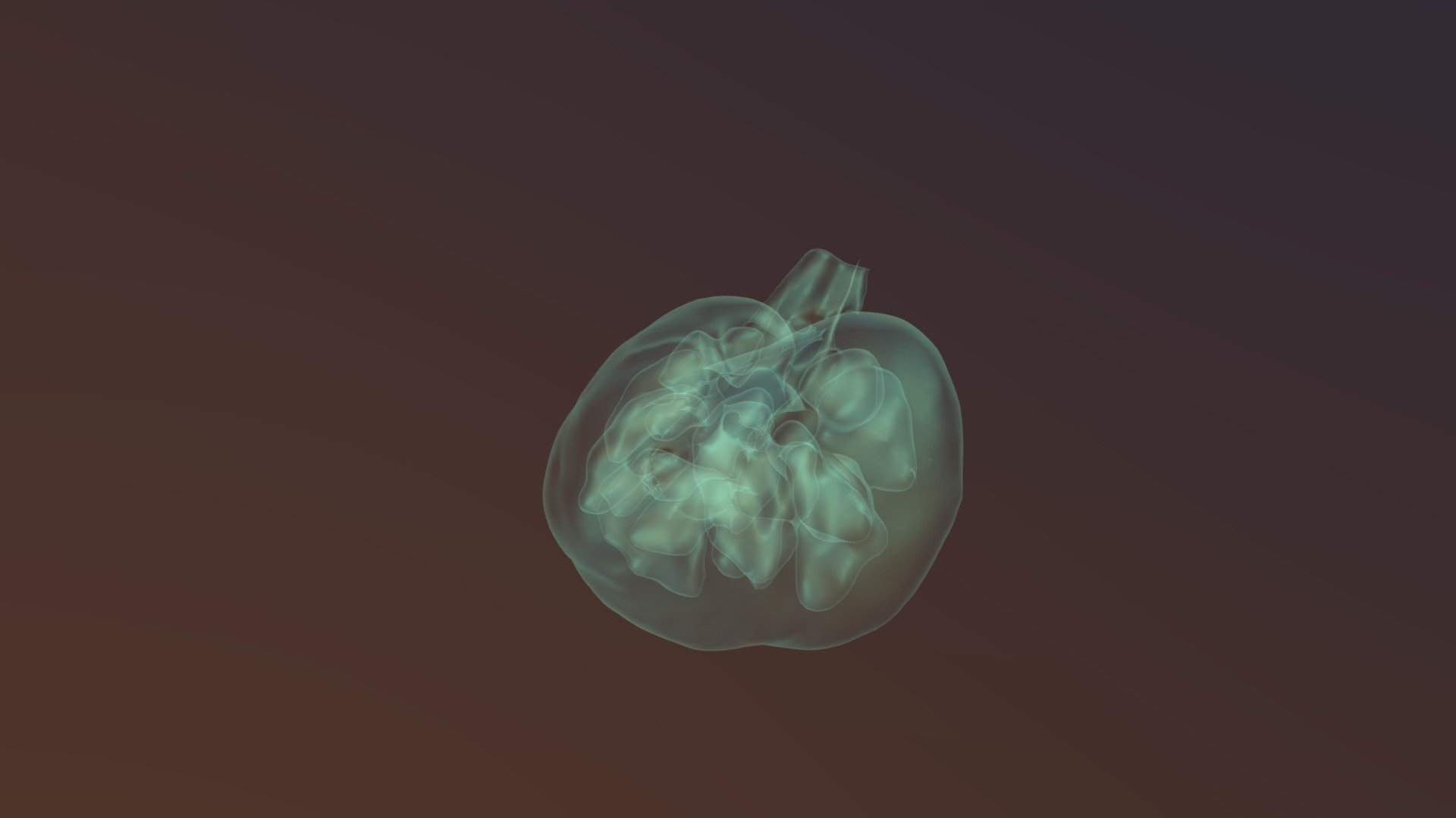Left Kidney