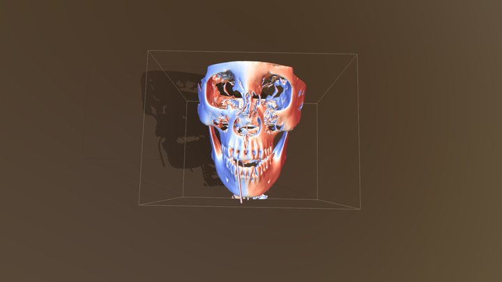 skull-tommsimm 3D Model