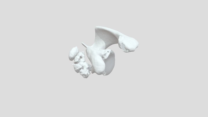 Glenoid 3D Model