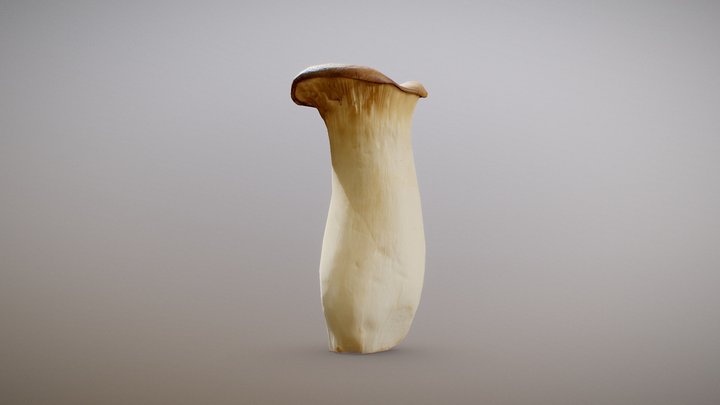 King Oyster Mushroom 3D Model
