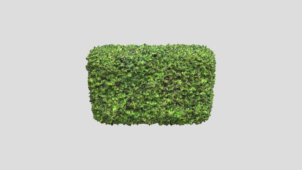 Hedge