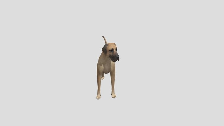 Dog Great Dane 3D Model