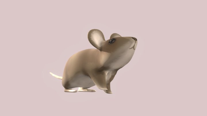 Field Mouse 3D Model