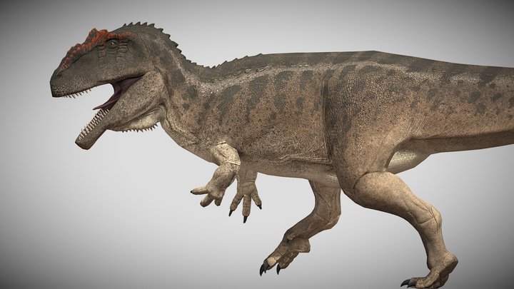 Giganotosaurus carolinii – Kostenloses 3D-Modell STL