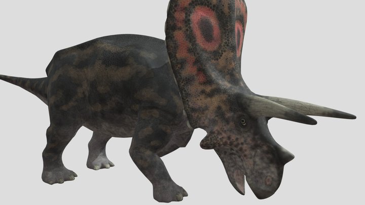 torosaurus